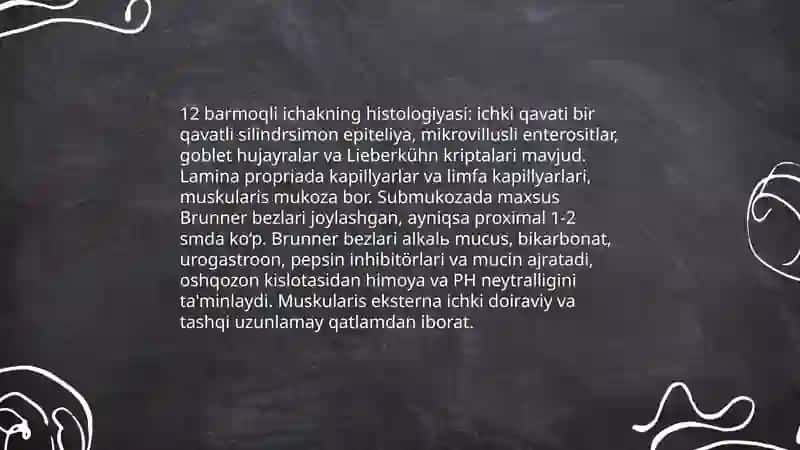 12 barmoqli ichak 4