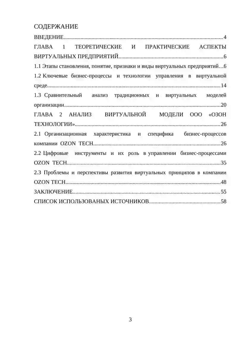Виртуальные предприятия на примере компании ООО «Озон Технологии» (OZON TECH) 4
