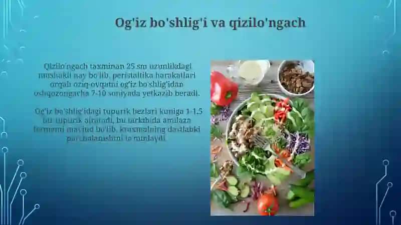 Ovqat hazm qilish tizimi 4