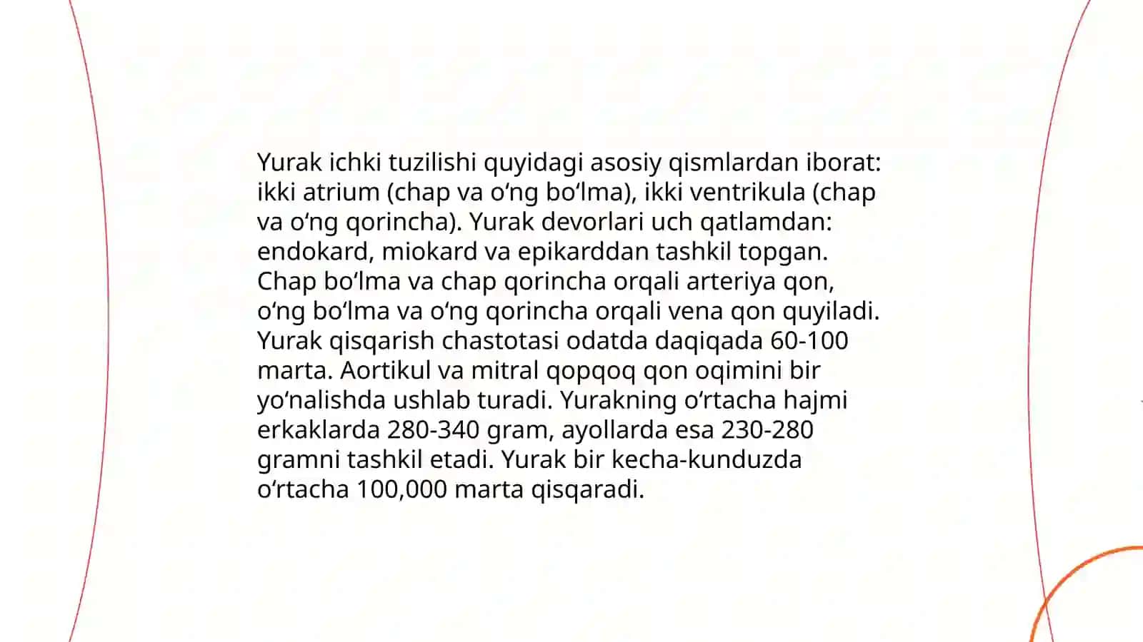 Yurak Anatomiyasi 4