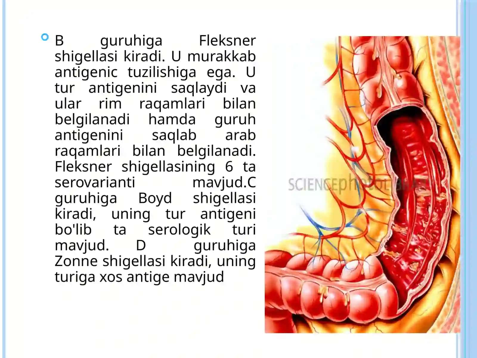 Ichakbakteriyalar oilasi gakiruvchi qo'zg'atuvchilari to'g'risida tushuncha 4