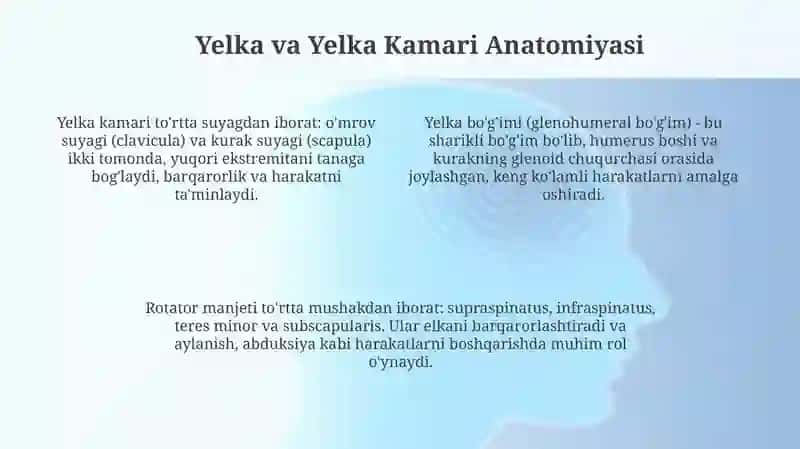 Yelka va yelka kamari tasnifi 4