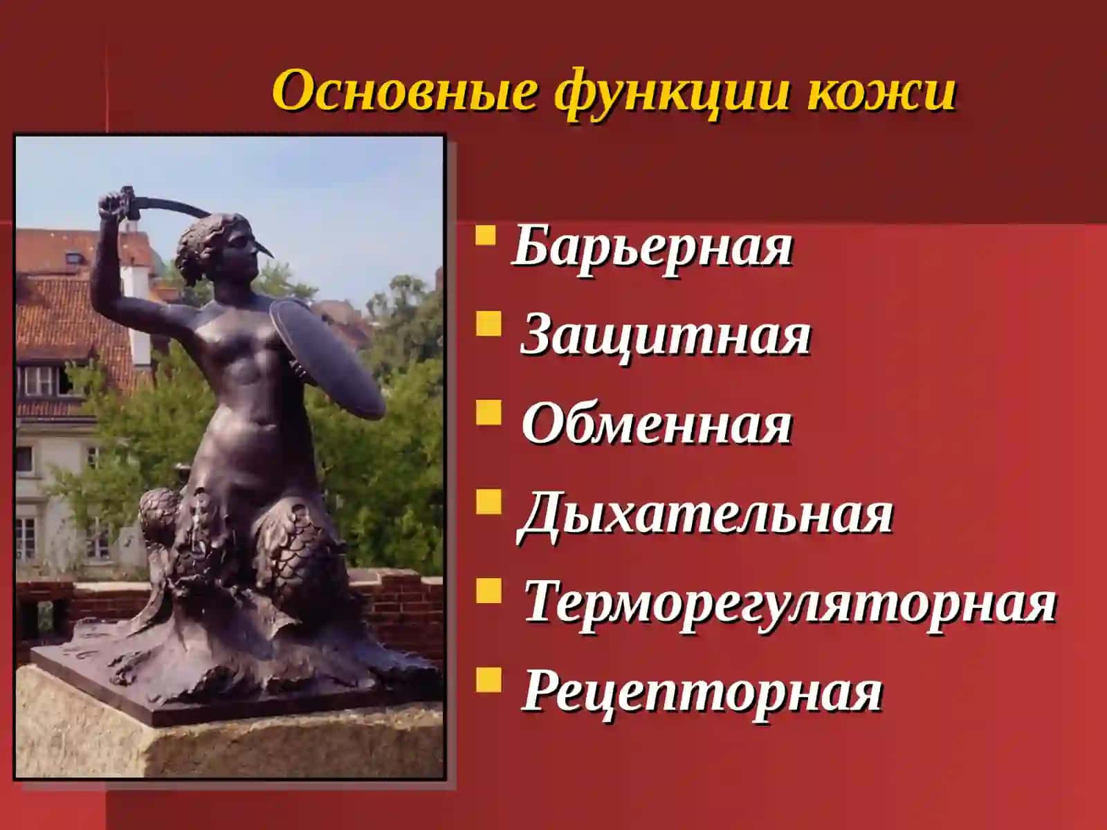 Кожаи кожные производные 4