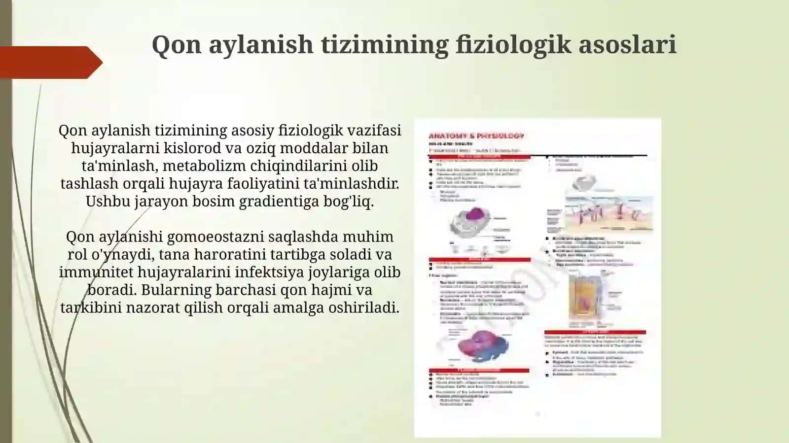 Fiziologiya faniga kirish.Qon aylanish tizimining fiziologik asoslari 4