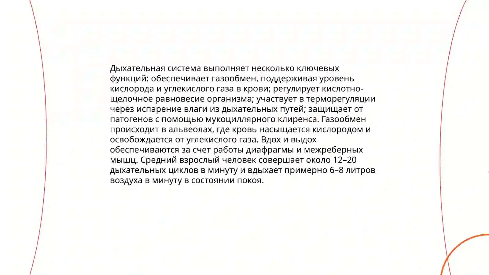 Система органов дыхания быражение целевых и условных отношений 4