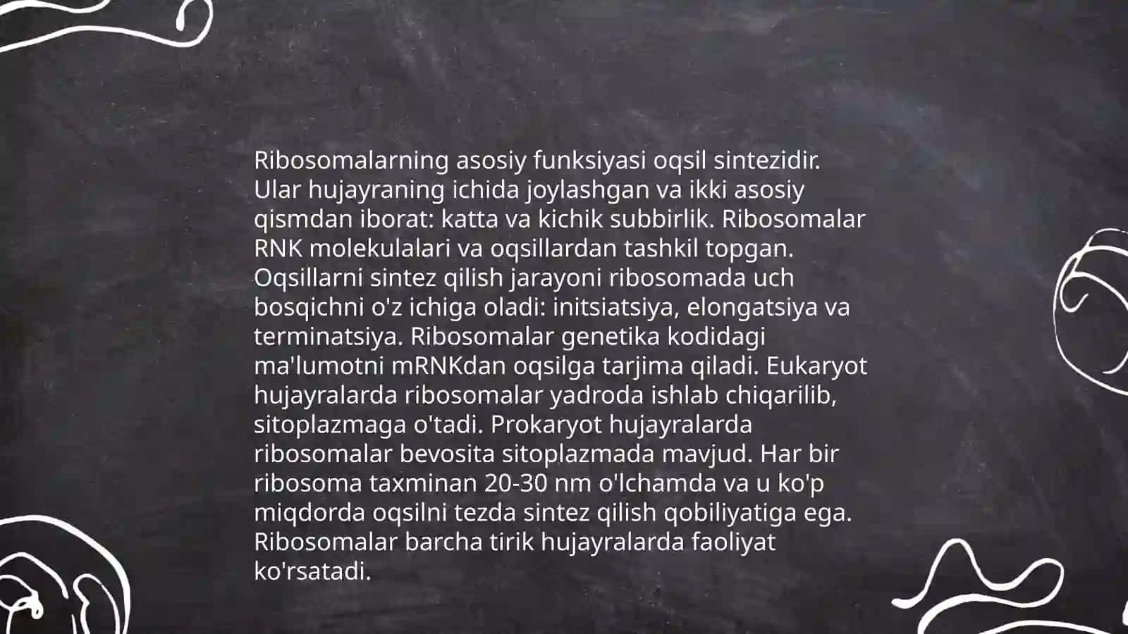 Ribosoma 4