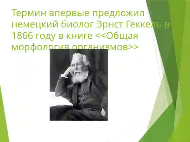 Охрана природы-забота всех землян 4