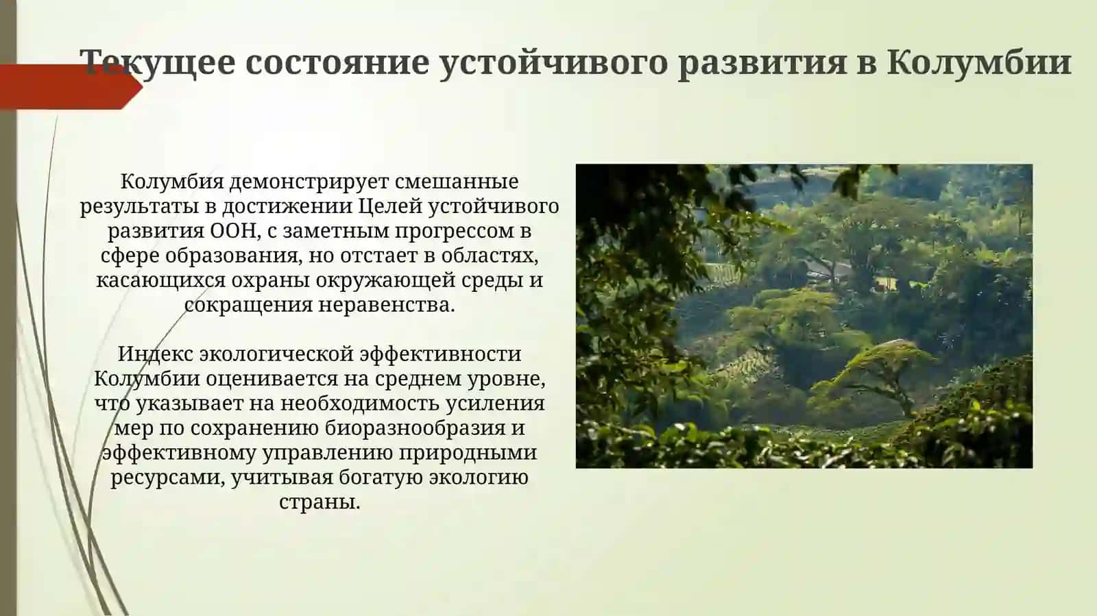 Роль зелёной экономики в устойчивом развитии Колумбии 4