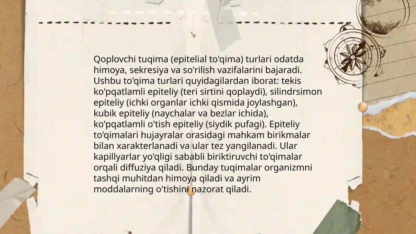 Hosil va qoplovchi qiluvchi tuqima tuzilishi va vazifalari 4