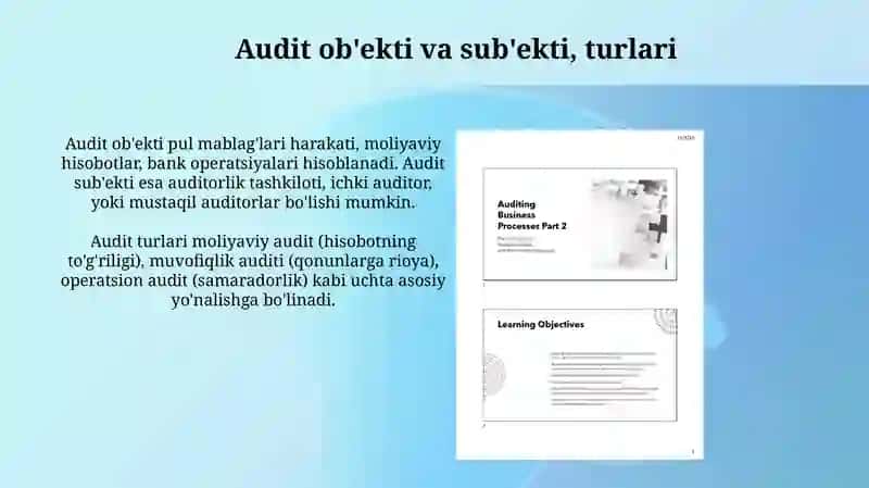 Pul Mablag'larixarakatib-nbogʻliqMuammo/Auditinitashetishvao'tkazishtartibi 4