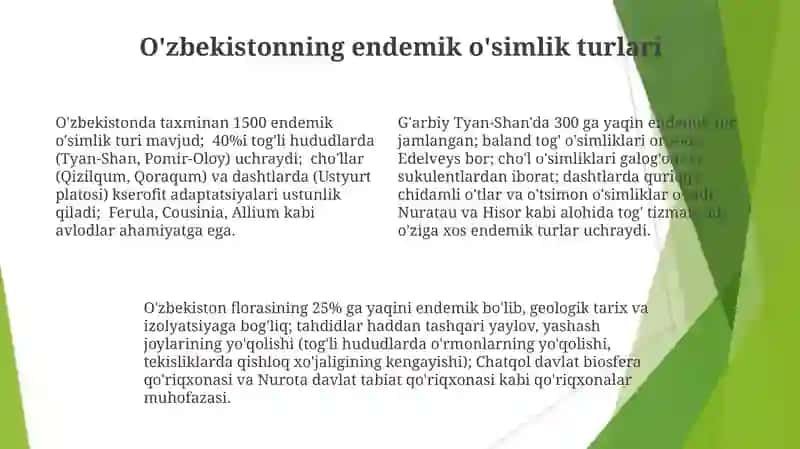 O'zbekiston o'simliklari 4