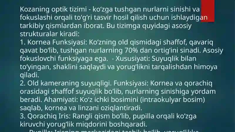 Ko'ruvanalizatori 4