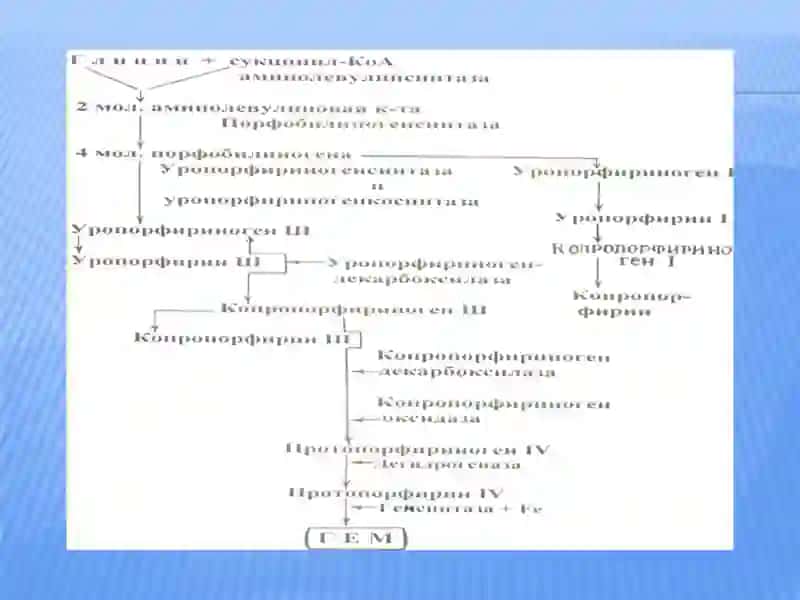 Метаболизм порфиринов,Желтухи 4