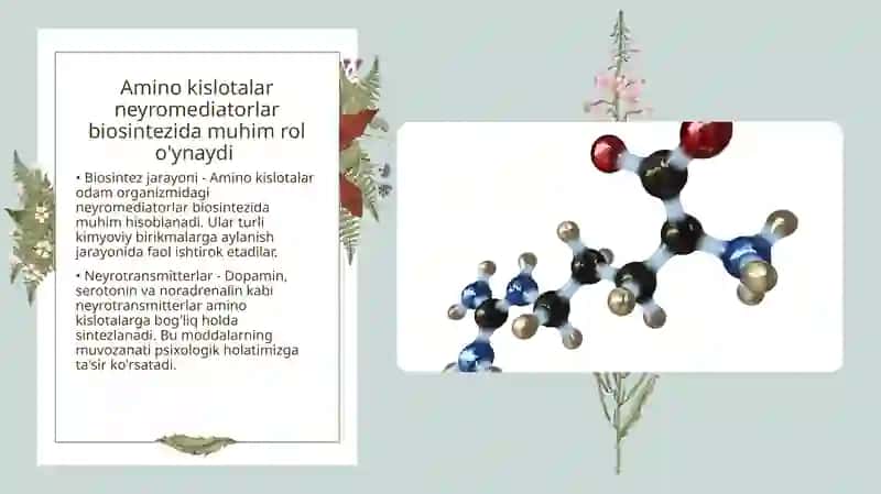 Neyromediatorlar biosintezi 4