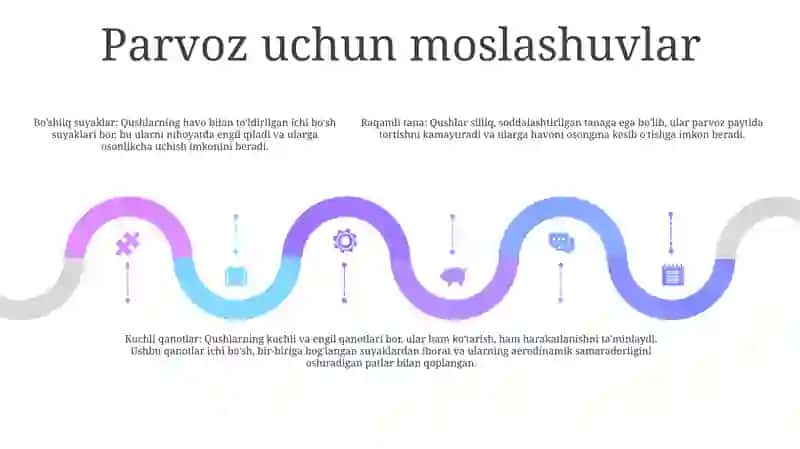 Yovvoyi Qushlar 4
