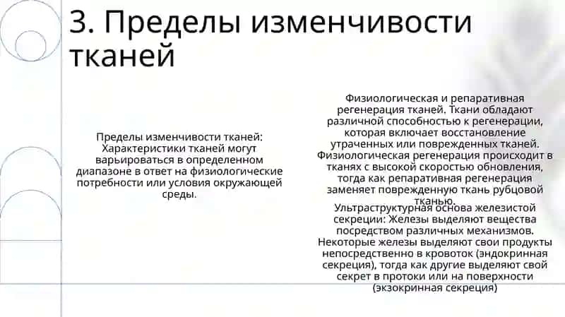 Физиология тканей и регенерация 4