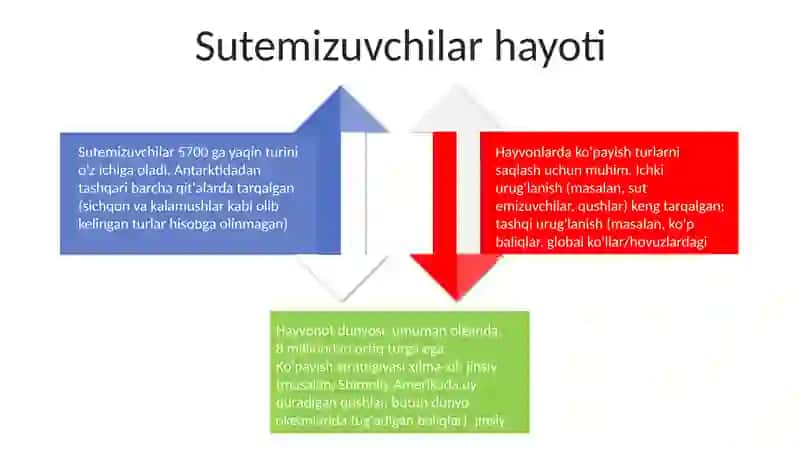Hayvonot olamining yashash tarzi, ko‘payishi, tarqalishi va turlari 4