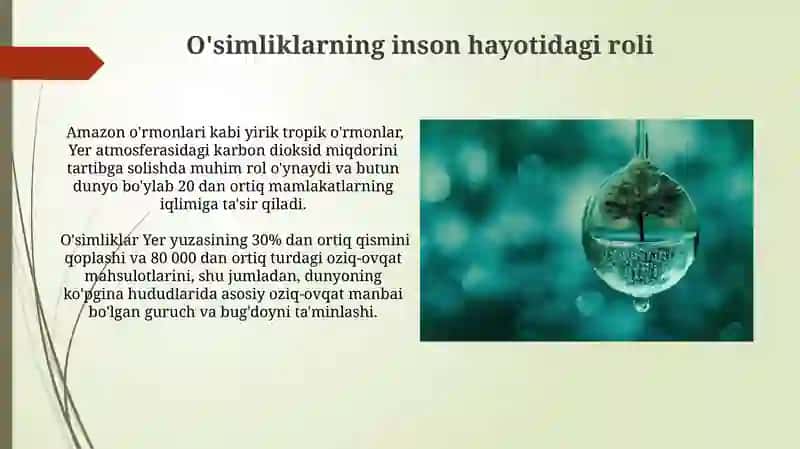 O'simliklarning inson va biosferada tutgan oʻrni va muhofazasi 4