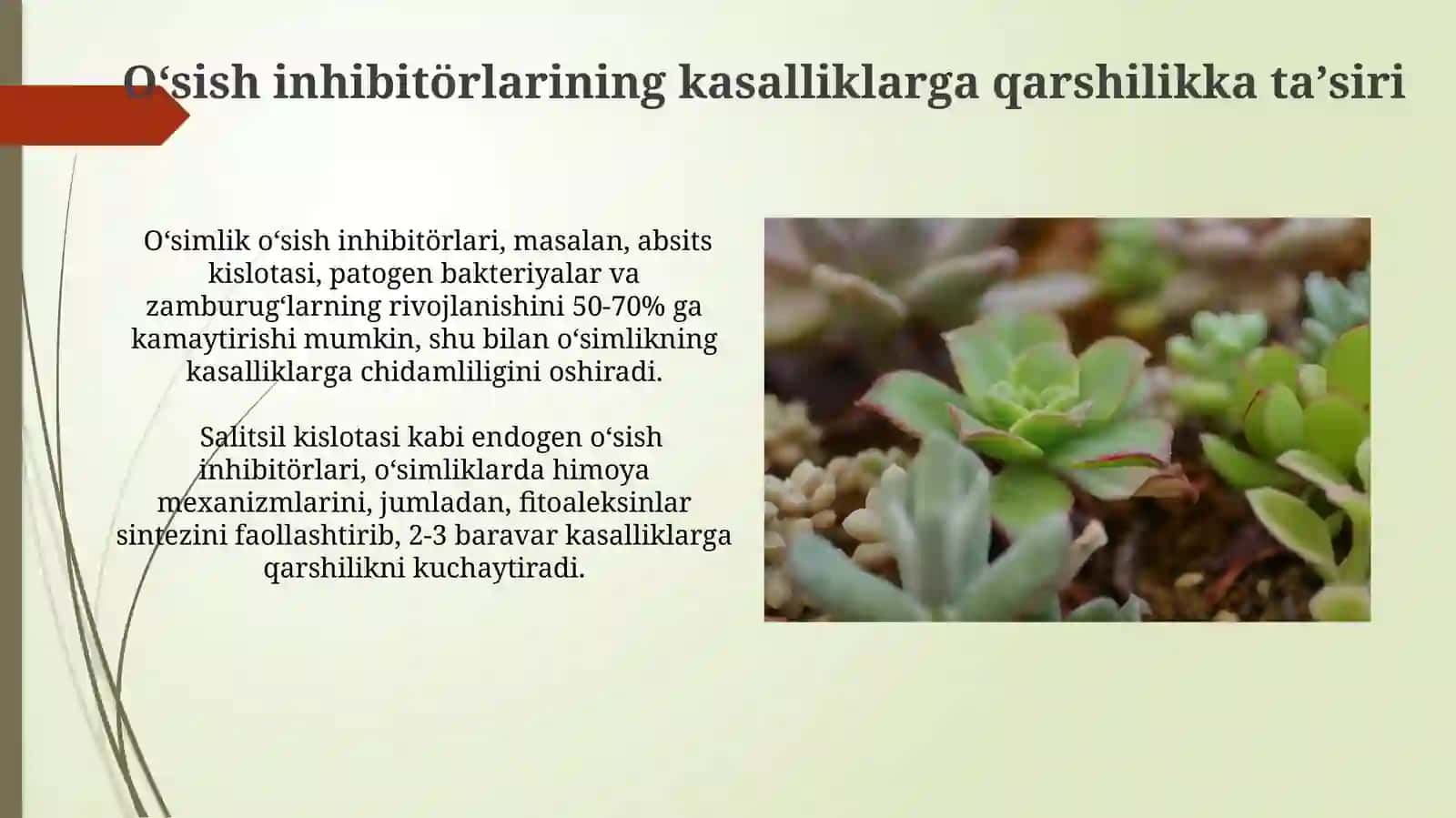 Tabiiy òsish ingibitorlari va ularningfiziologik roli 4