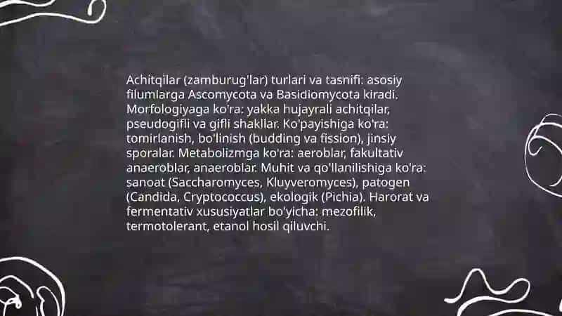 Achitqilar 4