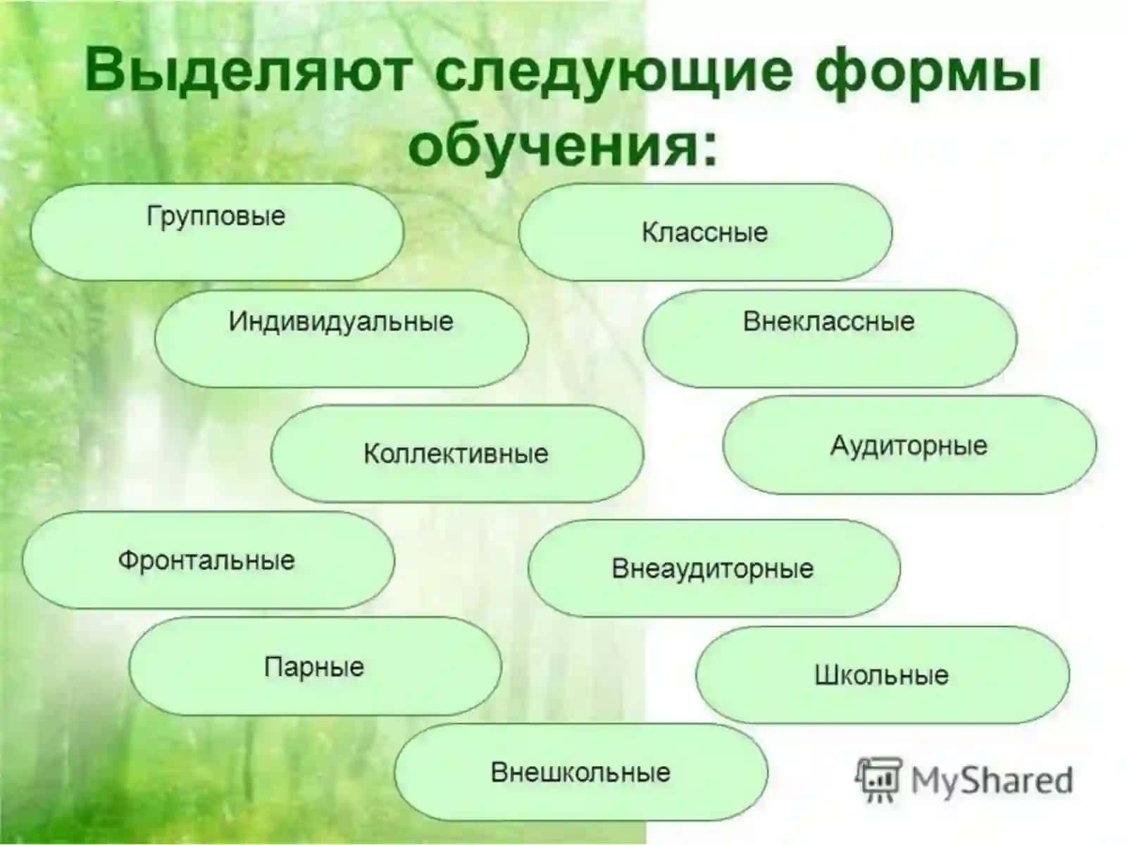 Особенности современной организации учебного процесса 4