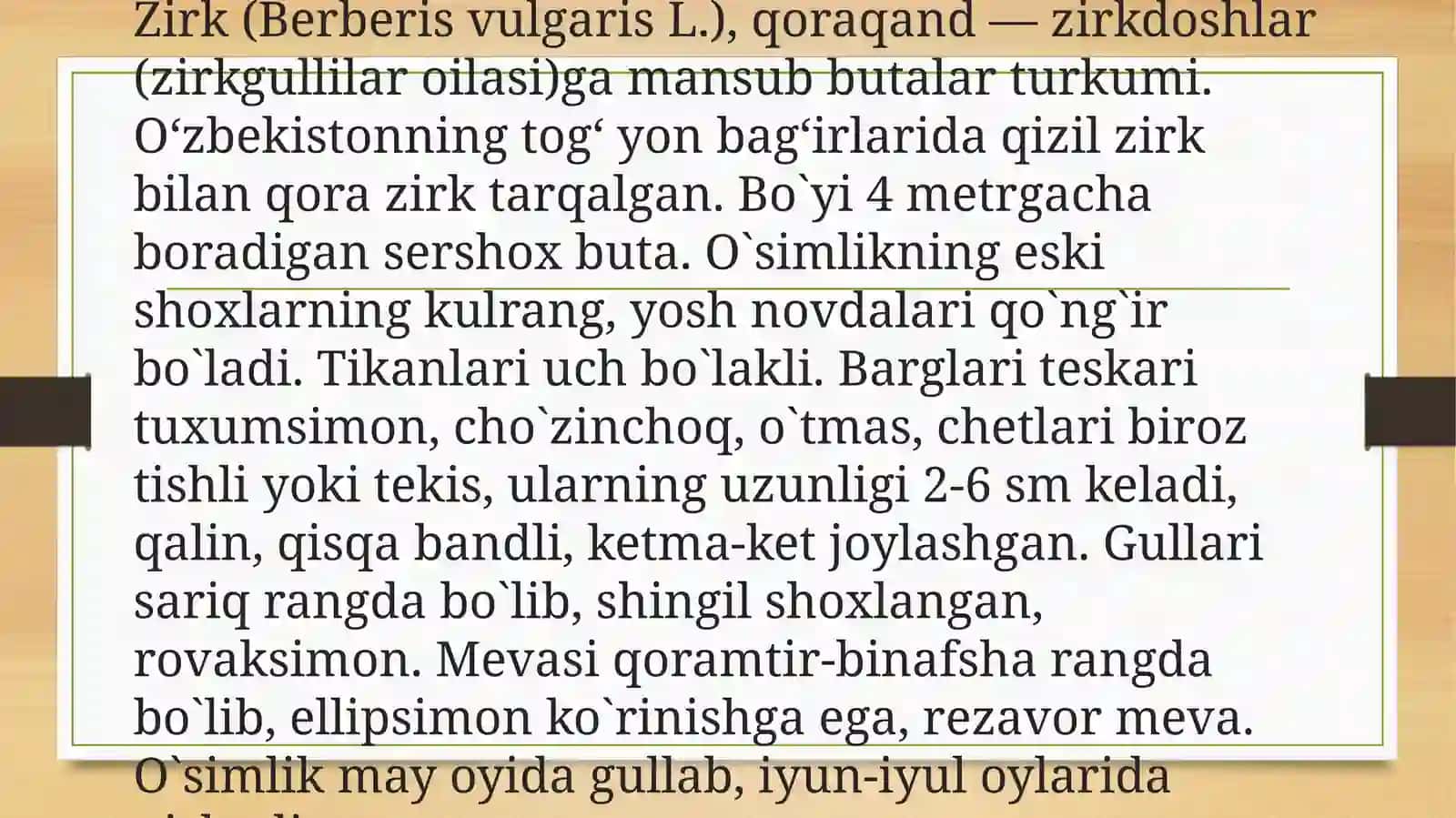Barbaris(Zirk)oʻsimligi,agrotexnologiyasivadorivorxususiyatlari 4