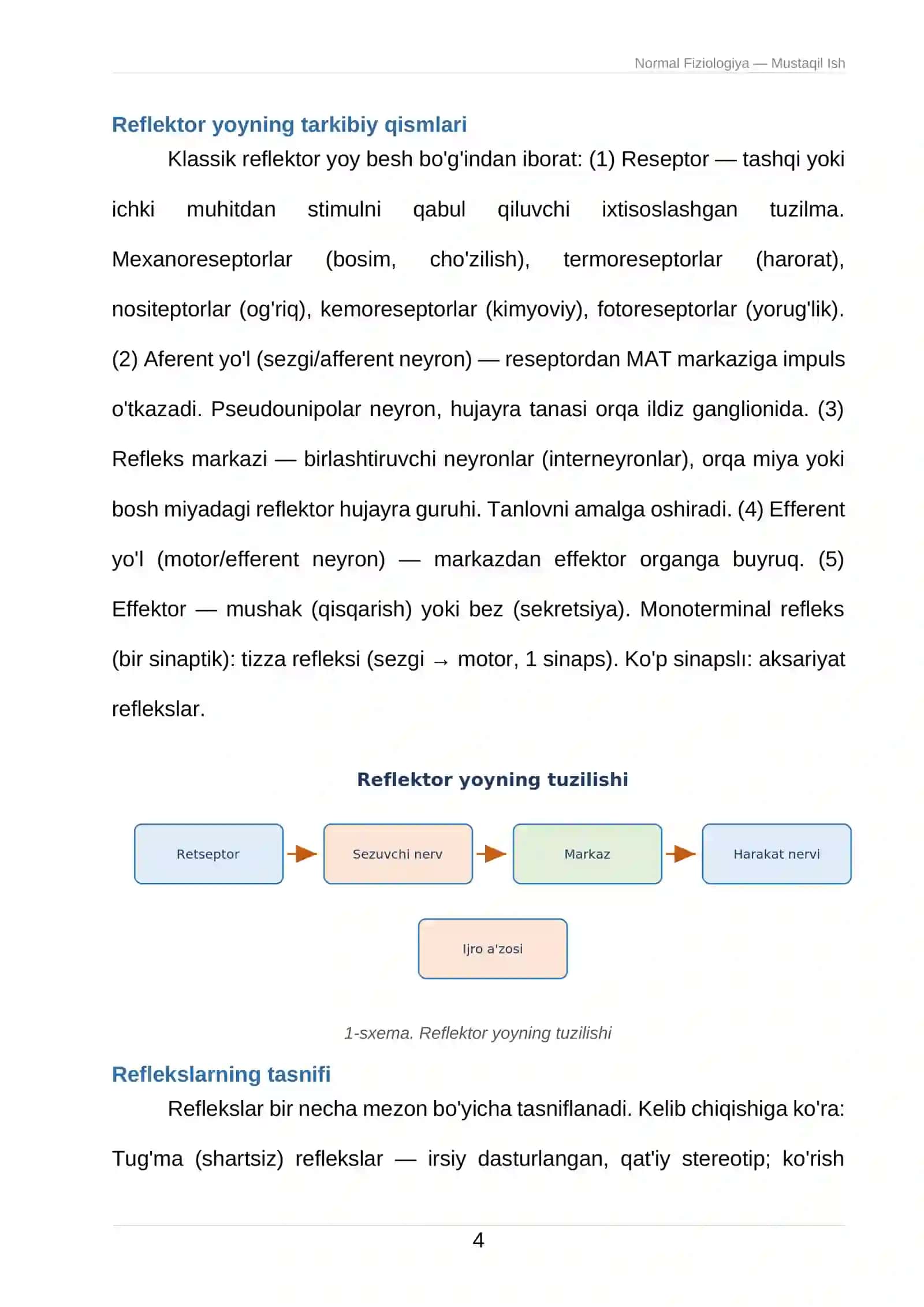 Odam va Hayvonlar Fiziologiyasi - Refleks va Reflektor Yoyi 4