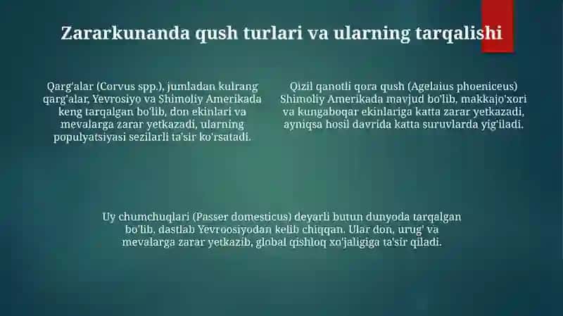 Qishloq xo‘jaligi ekinlariga zarar yetkazuvchi qushlar (Aves) faunasi 4
