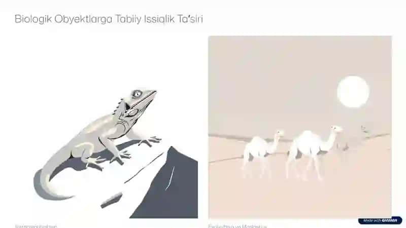 Issiqlik maydonlari 4