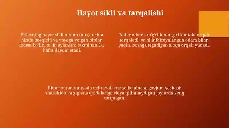 So'rg'ichlilar -odam parazitlari 4