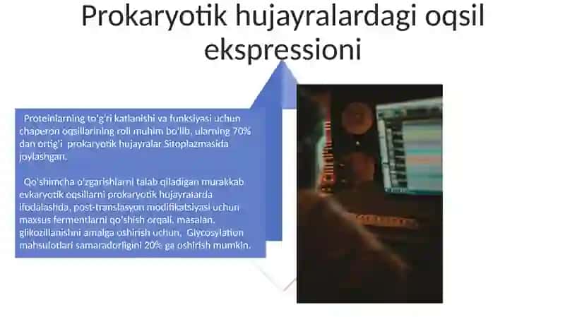 Oqsil maxsulotlarini ishlab chiqarishning biotehnologiyasi 4