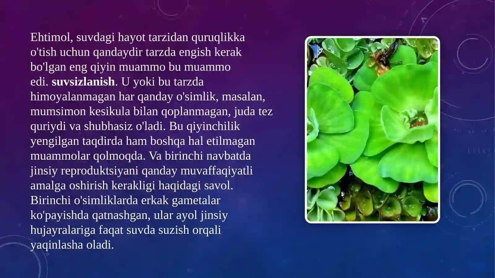 O’simliklar evolyusiyasining asosiy bosqichlari3-22-Abdumalikova Dinora 4