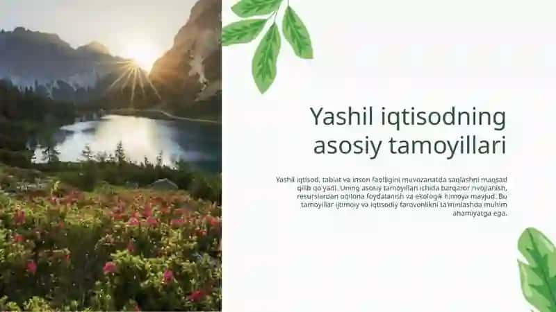 Yashil iqtisodni tavsiflovchi ko'rsatkichlar tizimini aniqlash bo'yicha yondashuvlar 4