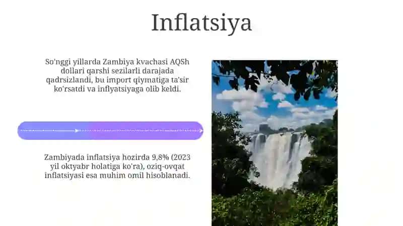 Zambiya makroiqtisodiy ko'rsatkichlari 4