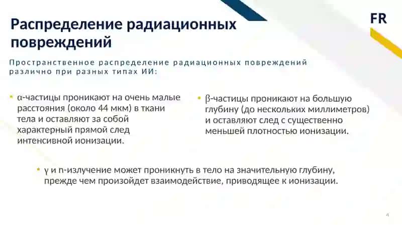 Действие ионизирующих лучей на клетку 4