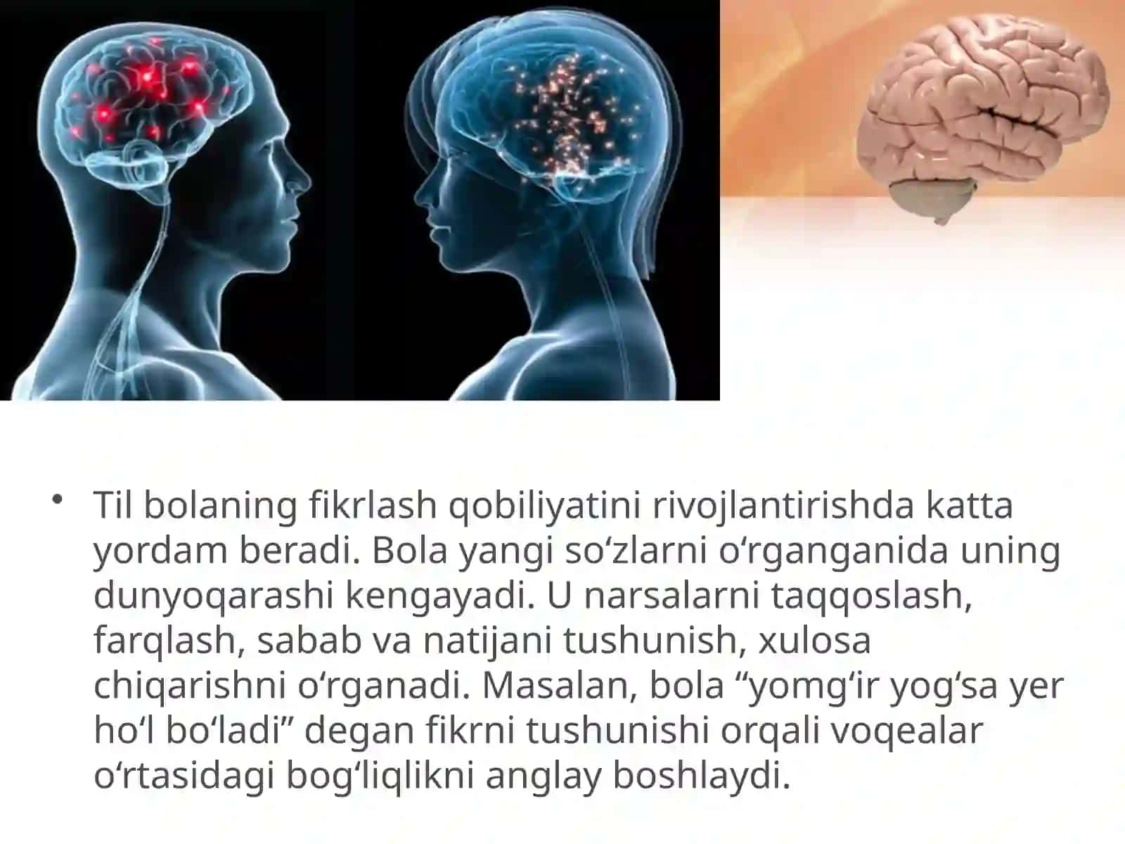 Fikrlash va tilning rivojlanishdagi bog'liqligi 4