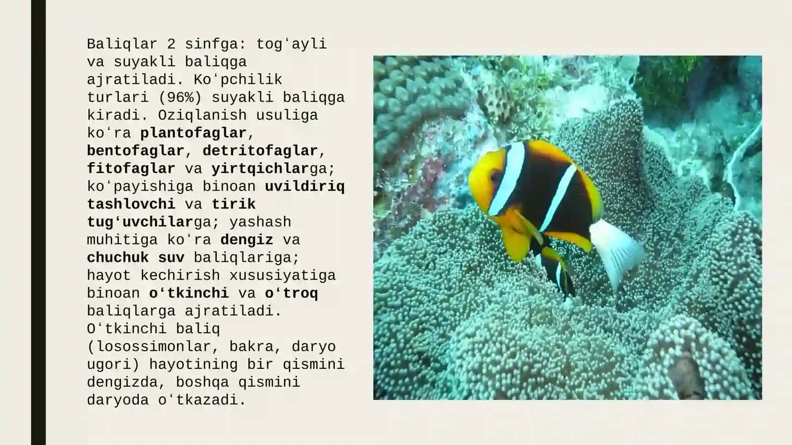 Baliqlarning Tuzilishi, Xilma-xilligi va Ekologiyasi 4