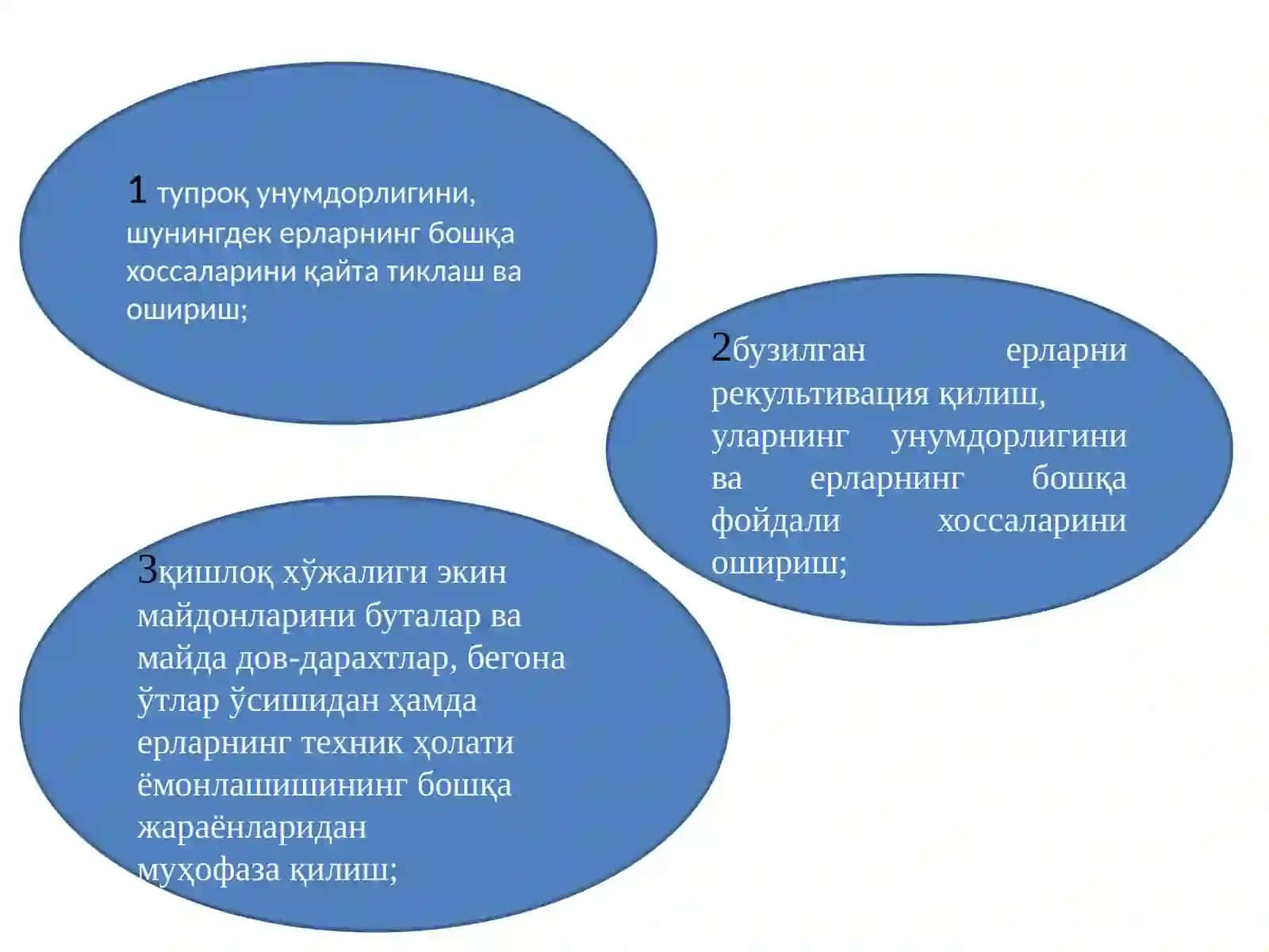 ЕРДАНФОЙДАЛАНИШ ВА МУҲОФАЗА ҚИЛИШ УСТИДАН ДАВЛАТ НАЗОРАТИ 4