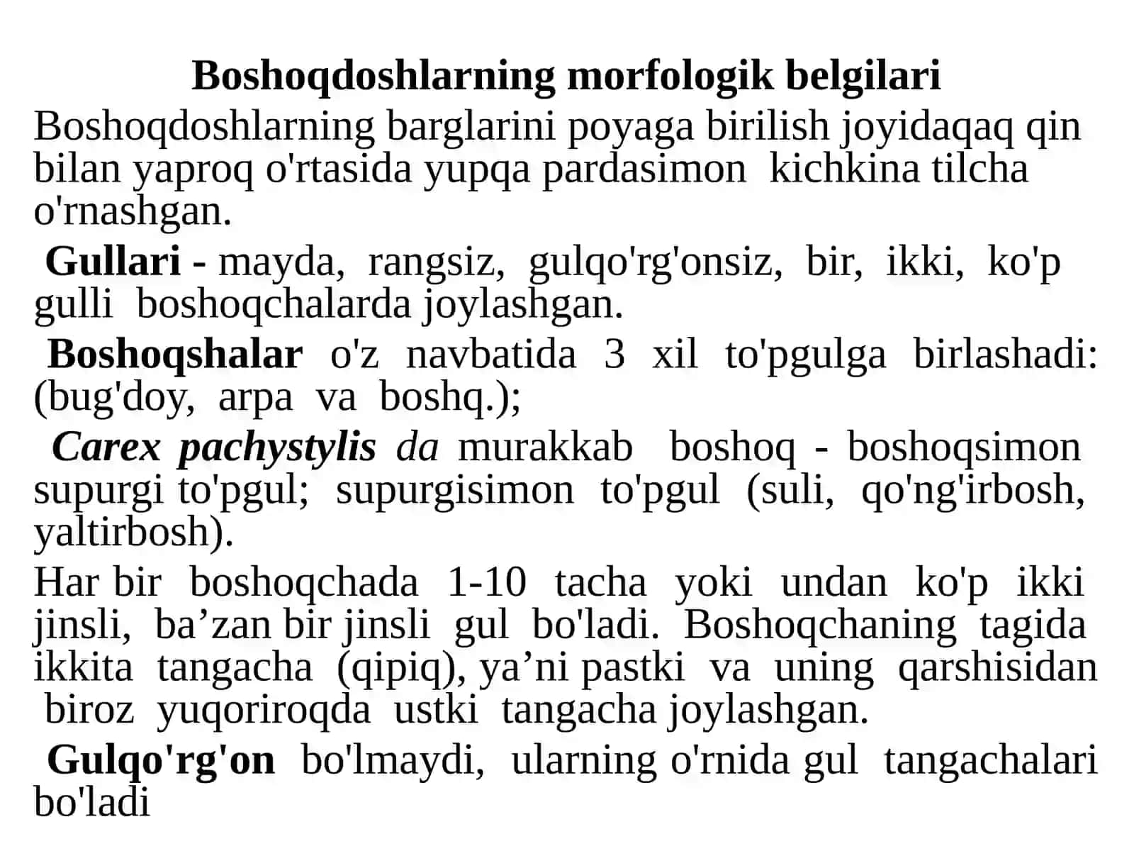 Boshoqnamolar qabilasi—Poales Bug'doydoshlar oilasi—Poaceae 4
