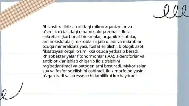 Tuproq mikroorganizmlar yashash muhiti sifatida 4