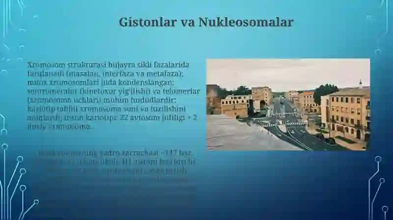 Xromosomalar tarkibi va tuzilishi 4