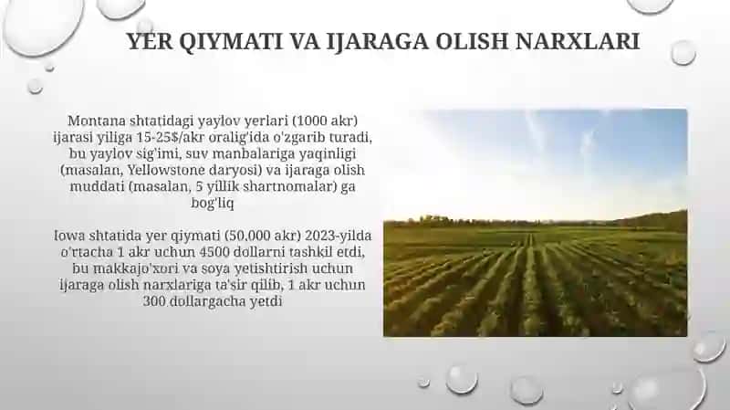 Qishloq xoʻjaligi. ijara xaqi va renta 4