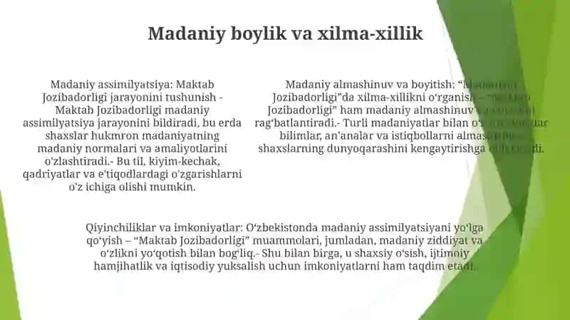 Maktab Jozibadorligi Chet Elda Qanday 4