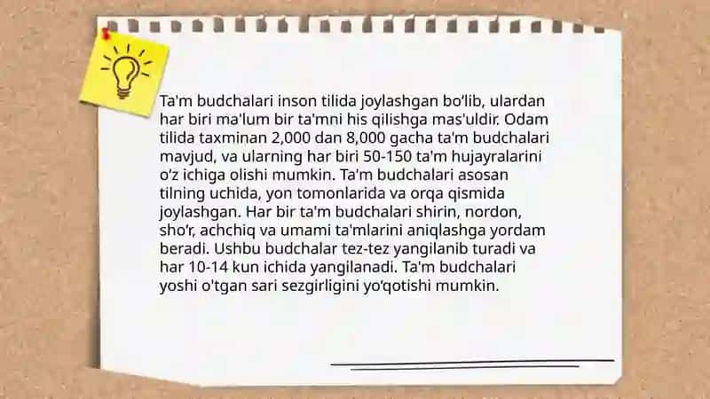 Ta'm bilish va hid bilish a'zolarining funksional anatomiyasi 4