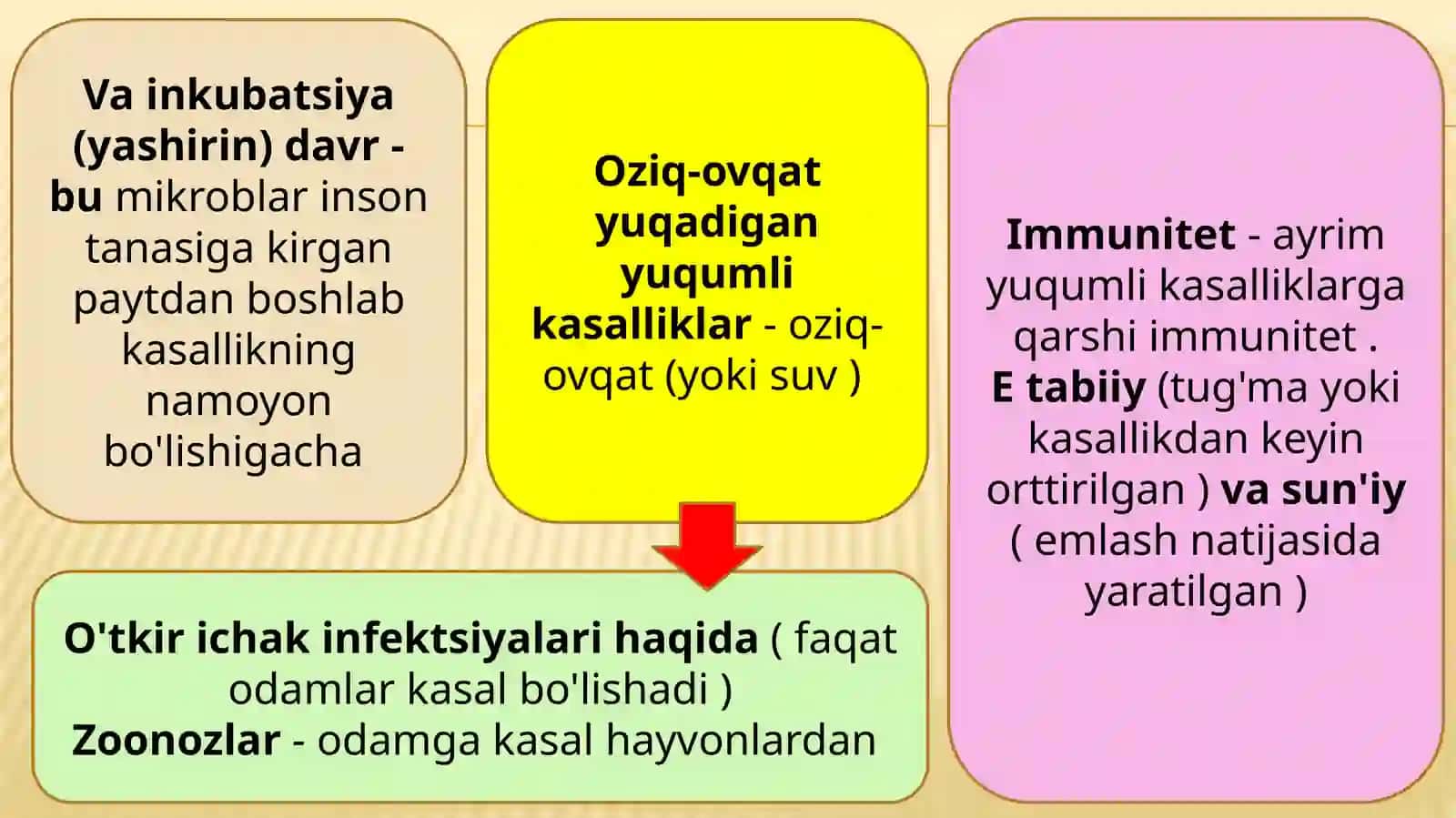 Ichakning yuqumli kasalliklari, zoonozlar, gelmintozlar va ularning oldini olish 4