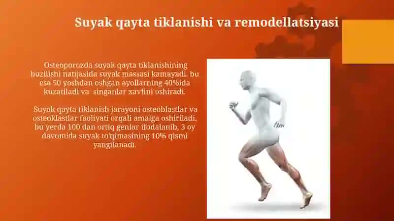 Skelet tizimini fiziologiyasi 4