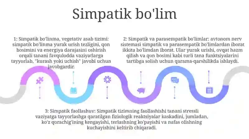 Vegetativ Nerv Sistemasi. Simpatik Va Parasimpatik Qismlari 4