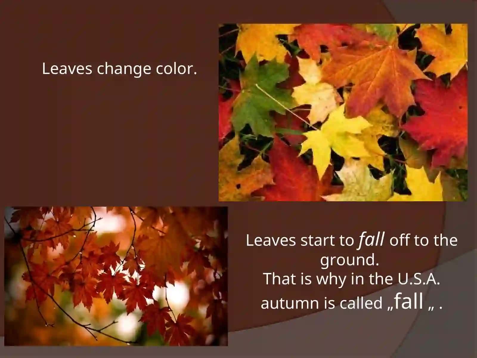 Autumn is one of the four seasons 4