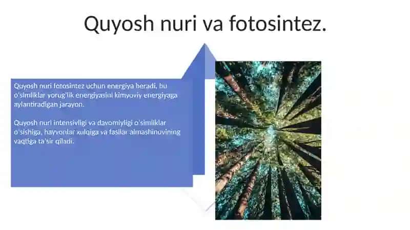 Insonning tabiatga tasiri 4