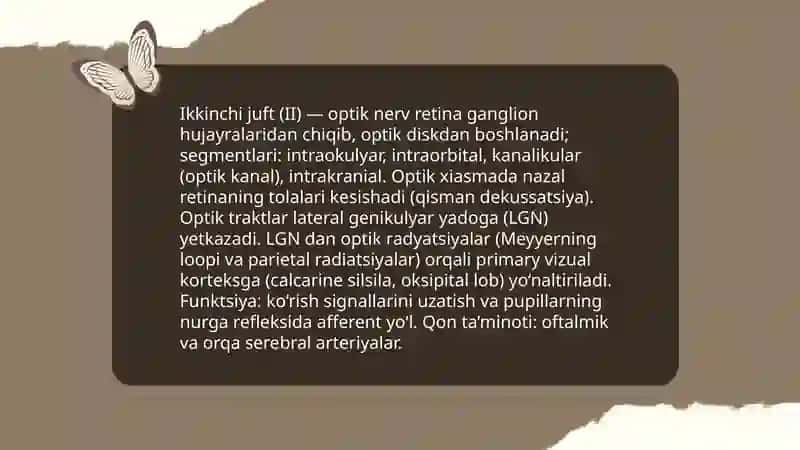 Olfaktor nerv bosh miya nervlari 4